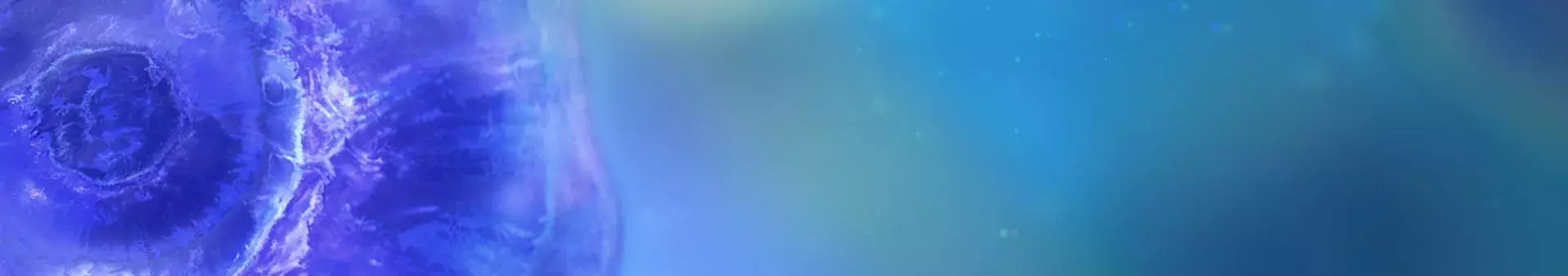 ImmUni Steering Commettee Biographies - Our Immune Health Experts