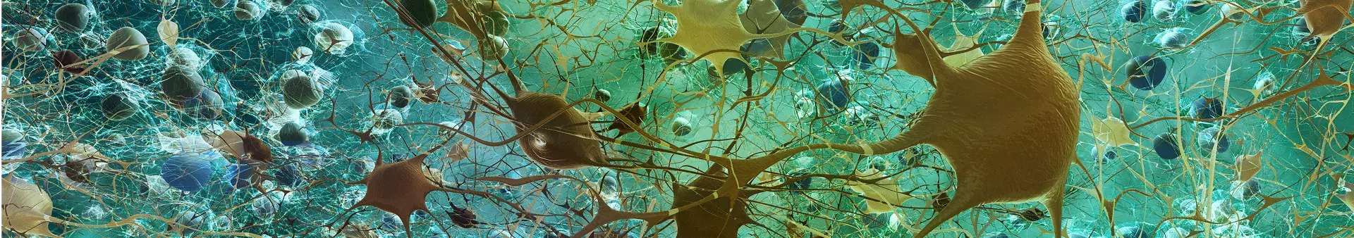 Subscribe to Stay at the Forefront of Immune Health Science